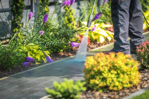 Best Sidewalk and Walkway Pressure Cleaning in Mccla, AL
